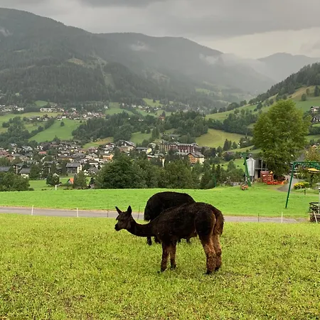Panoramaalm In Out *