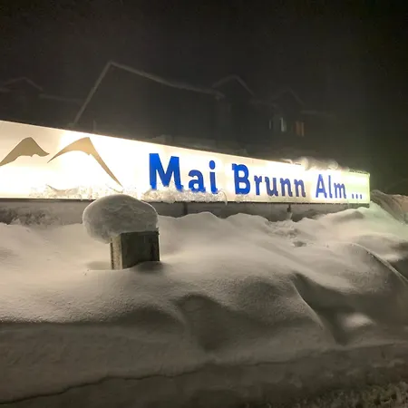 Panoramaalm - In - Out Апартаменти Бад-Кляйнкірхгайм