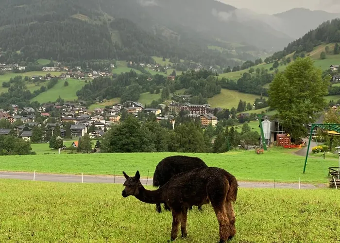 Panoramaalm - In - Out *