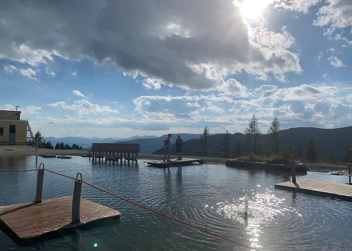 Panoramaalm - In - Out