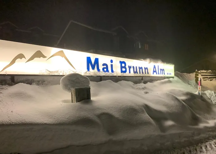 Panoramaalm - In - Out Daire Bad Kleinkirchheim